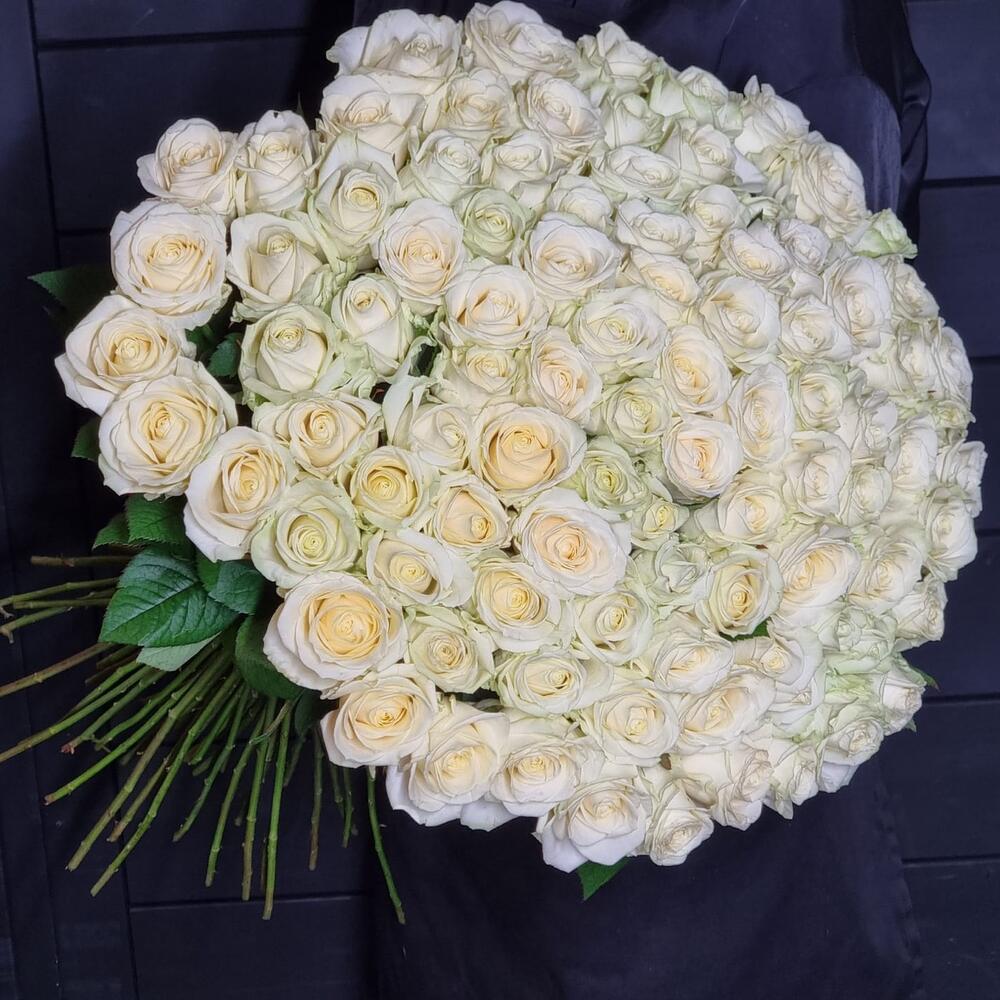Букет из 101 белой розы 50/60 см под ленту