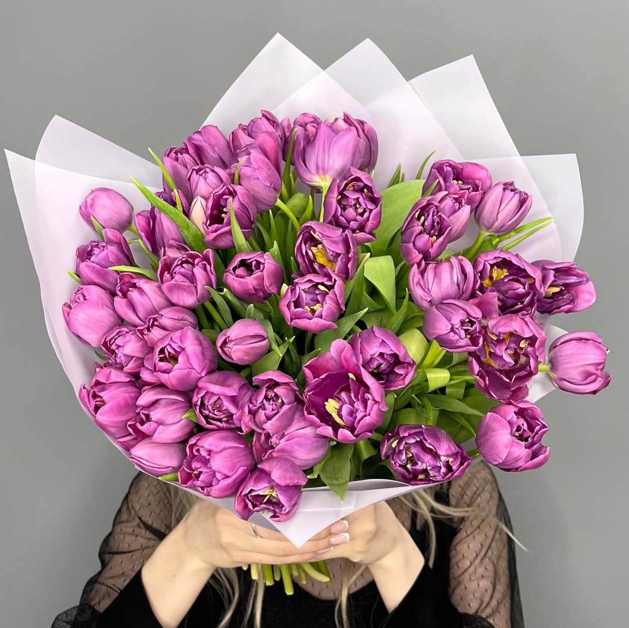 51 фиолетовый пионовидный тюльпан