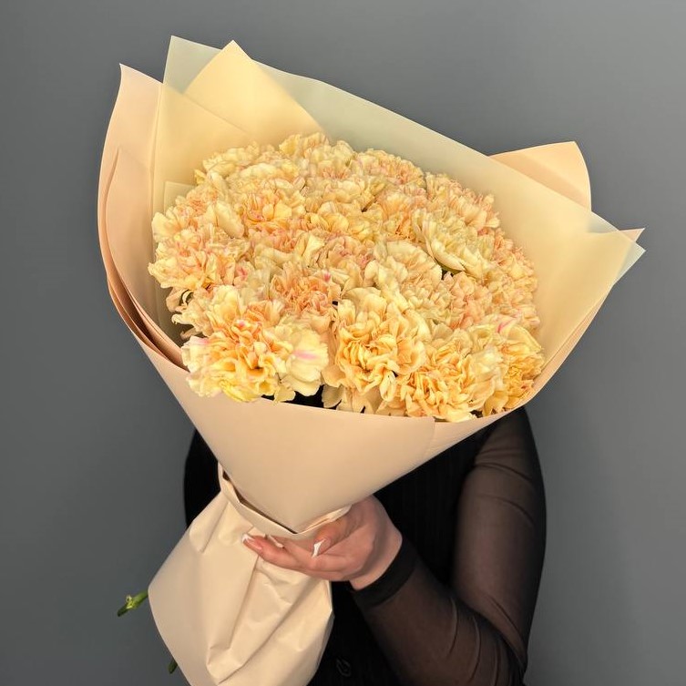 25 кремовых диантусов