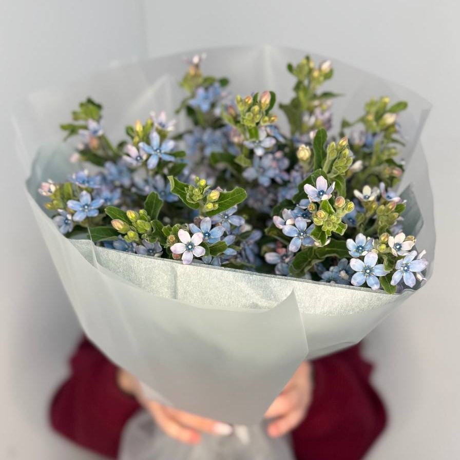 Букет из 15 голубых твидий