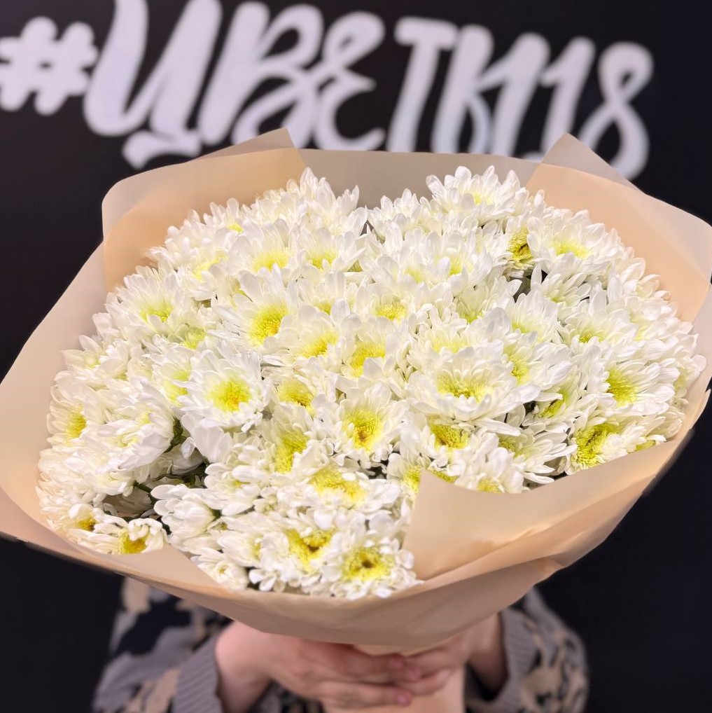 25 белых кустовых хризантем