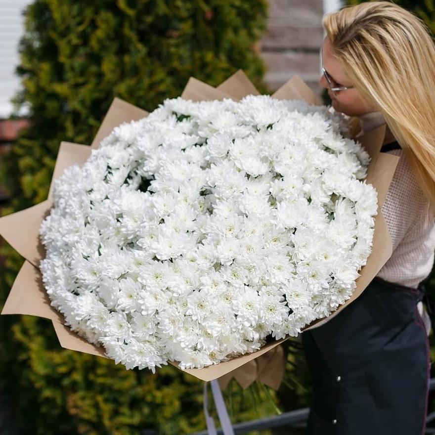 Мега гигант из 101 белой хризантемы