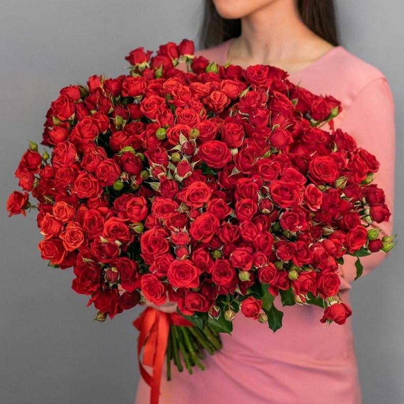 Букет "75 красных кустовых роз под ленту"