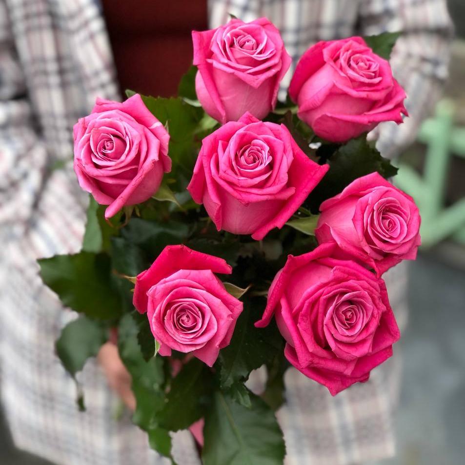 Букет из 7 малиновых роз 50/60 см под ленту