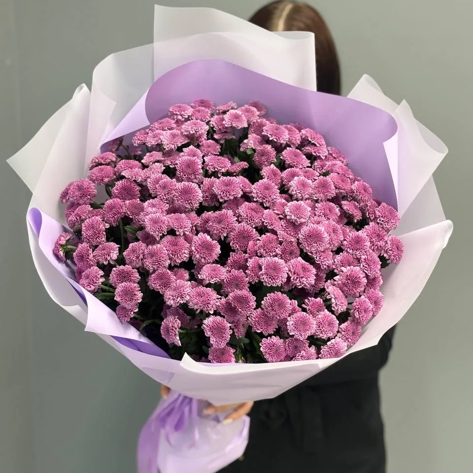 Букет из 25 лавандовых хризантем сантини