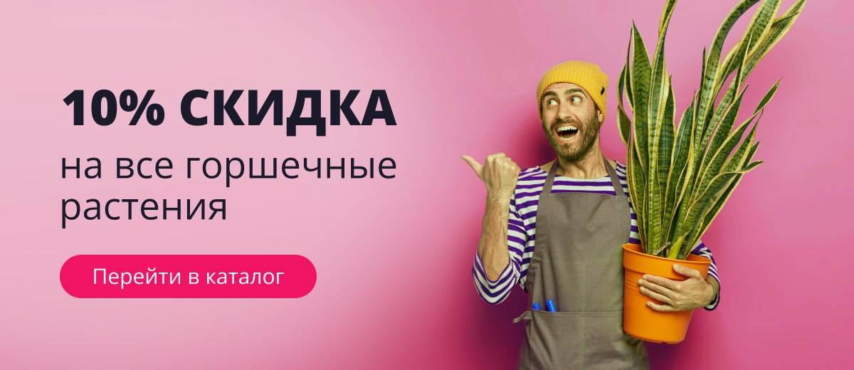 Горшечка 10%