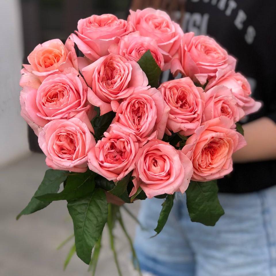 Букет из 15 розовых пионовидных роз под ленту