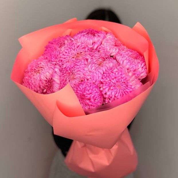 11 хризантем премиум цвета фуксия