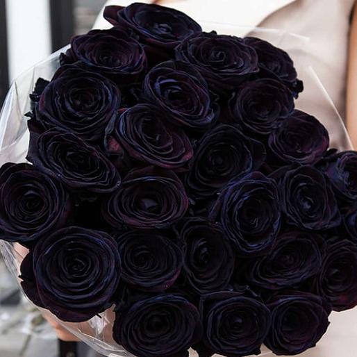 Букет из 21 черной розы