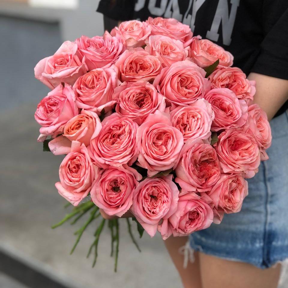 Букет из 25 розовых пионовидных роз под ленту