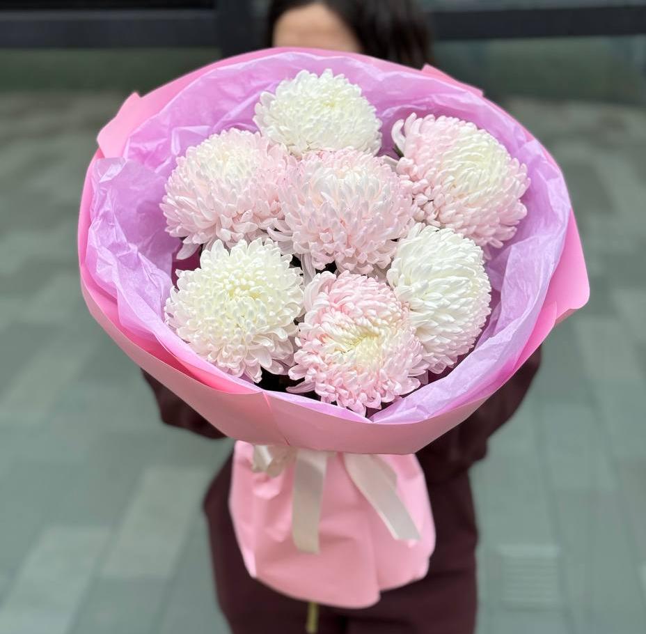 Букет из 7 белых и розовых хризантем премиум