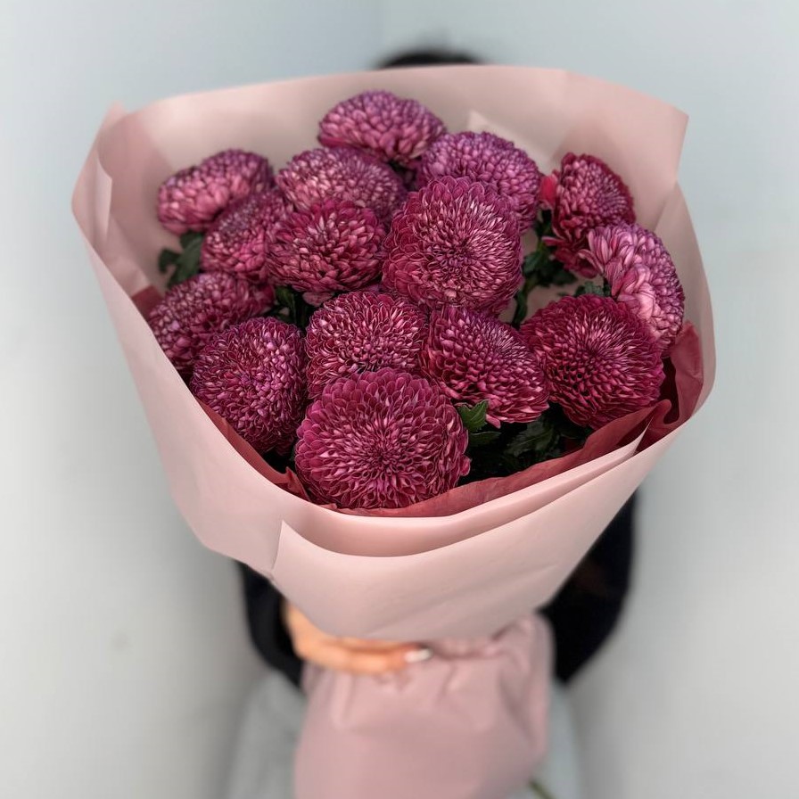 15 пушистых фиолетовых одноголовых хризантем