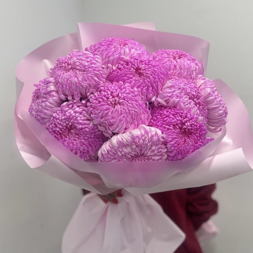 11 хризантем премиум цвета фуксия