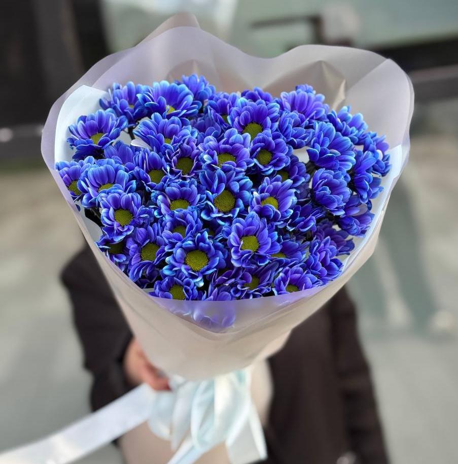 Букет из 7 синих хризантем сантини