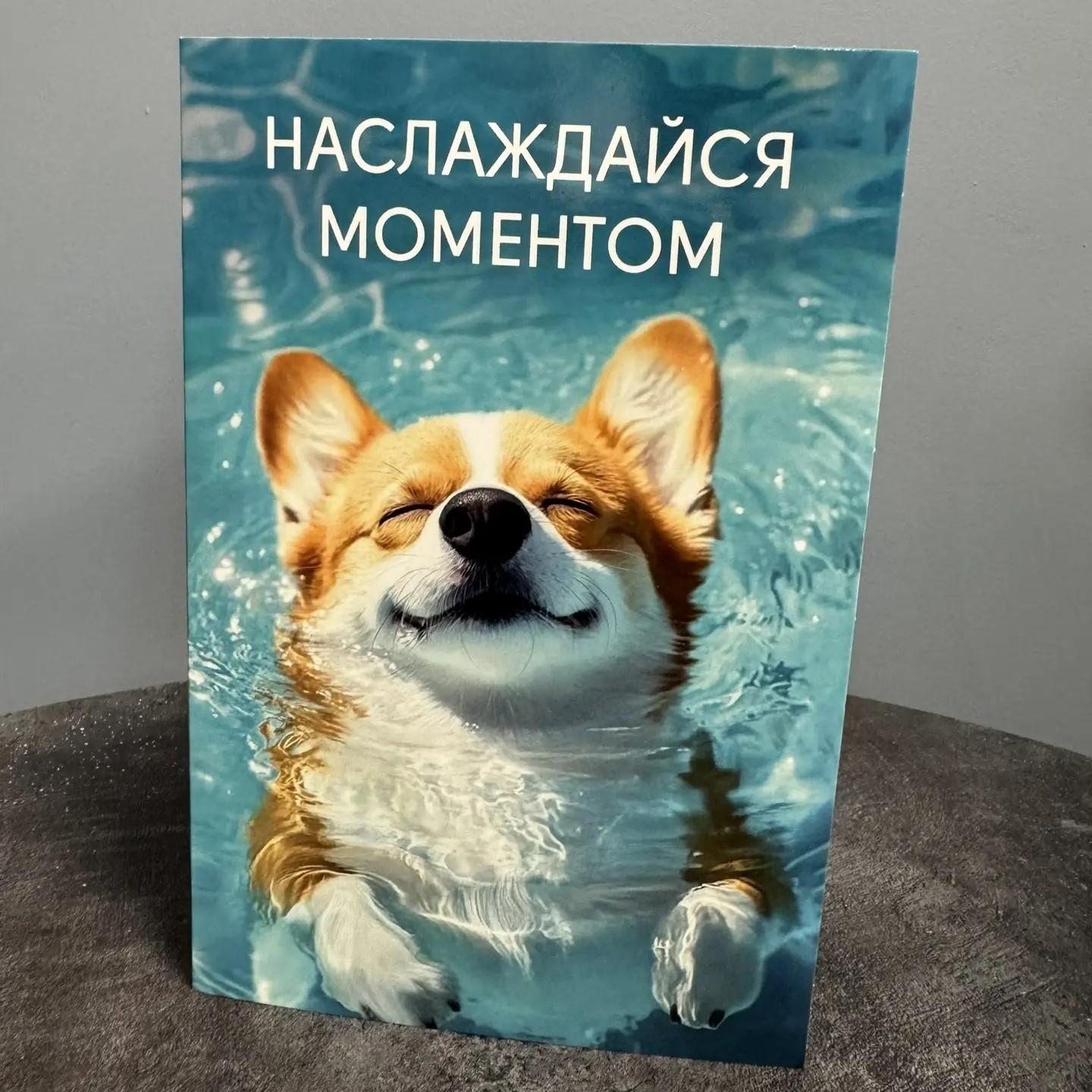Открытка "Наслаждайся моментом"