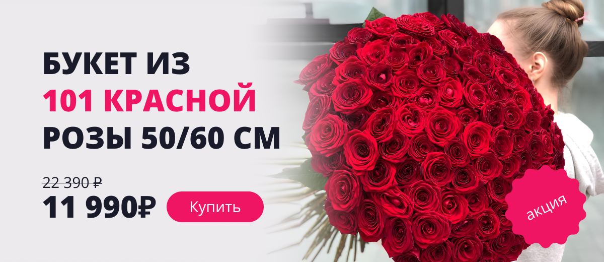 101 красная роза 50/60 см 