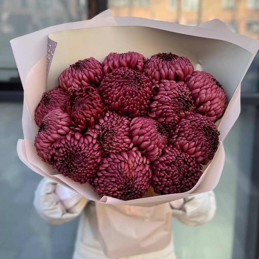 Букет из 15 терракотовых одноголовых хризантем