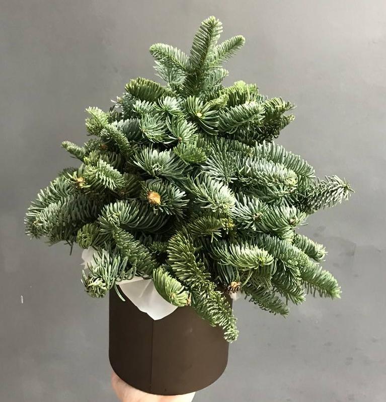 Готовая композиция №23