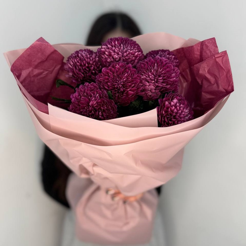 7 пушистых фиолетовых одноголовых хризантем