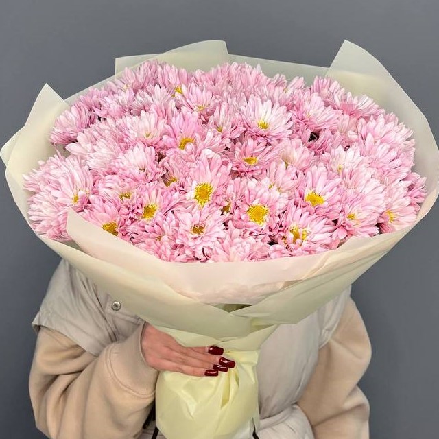 25 розовых хризантем в оформлении