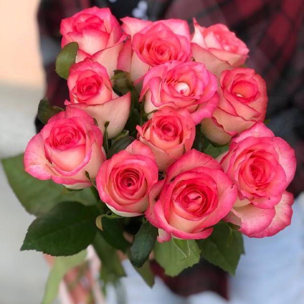 Букет из 11 бело-розовых роз 50/60 см под ленту