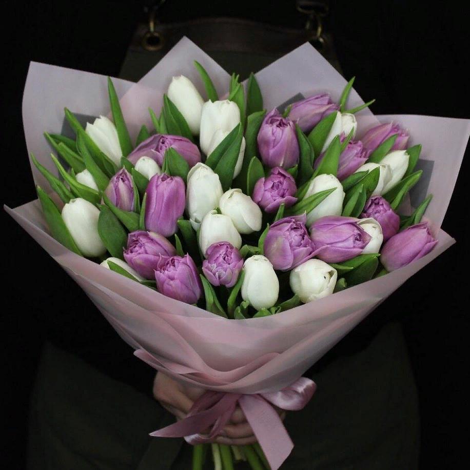 Букет из 35 белых и сиреневых пионовидных тюльпанов