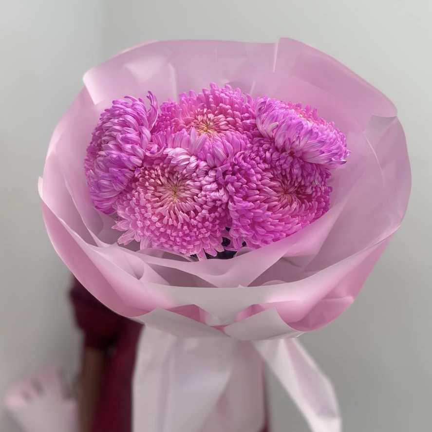 5 хризантем премиум цвета фуксия