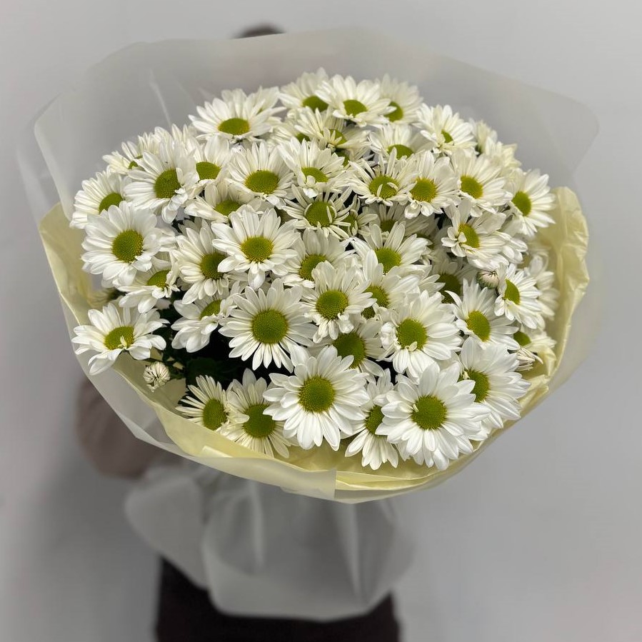 15 белых хризантем в оформлении