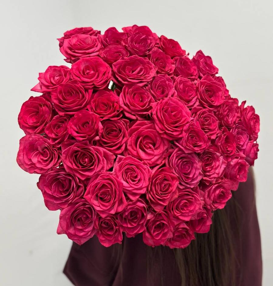 51 вишневая роза 70/80 см под ленту