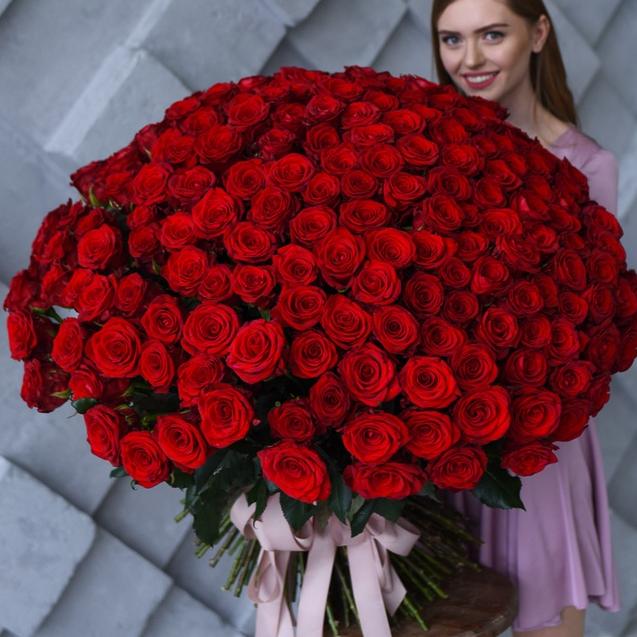 201 красная роза 60 см