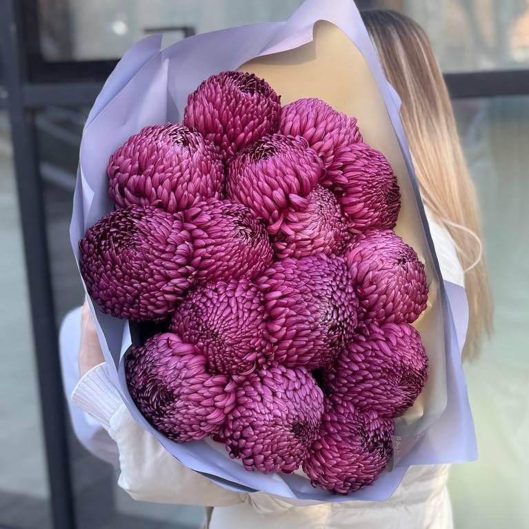 Букет из 15 сиреневых одноголовых хризантем