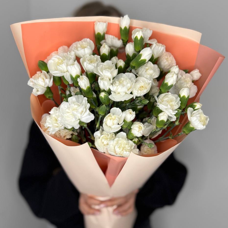 Букет из 15 белых кустовых диантусов