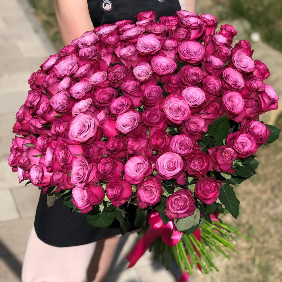 Букет из 101 фиолетовой розы 50/60 см под ленту