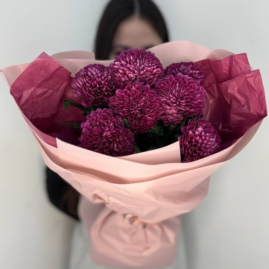 7 пушистых фиолетовых одноголовых хризантем