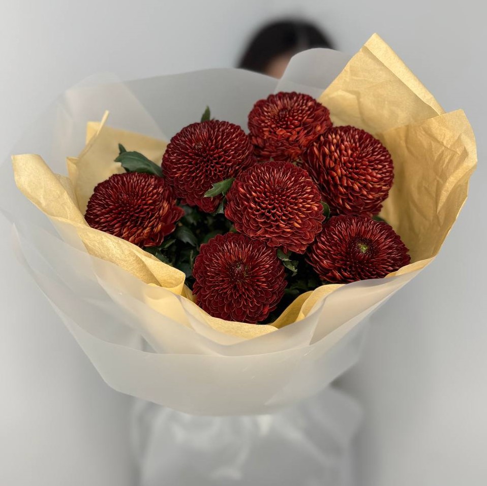 7 пушистых терракотовых одноголовых хризантем