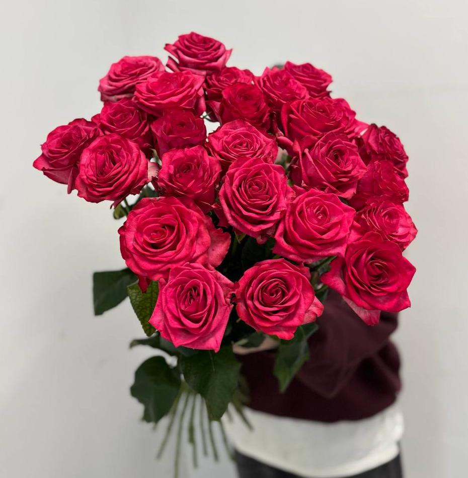 25 вишневых роз 70/80 см под ленту