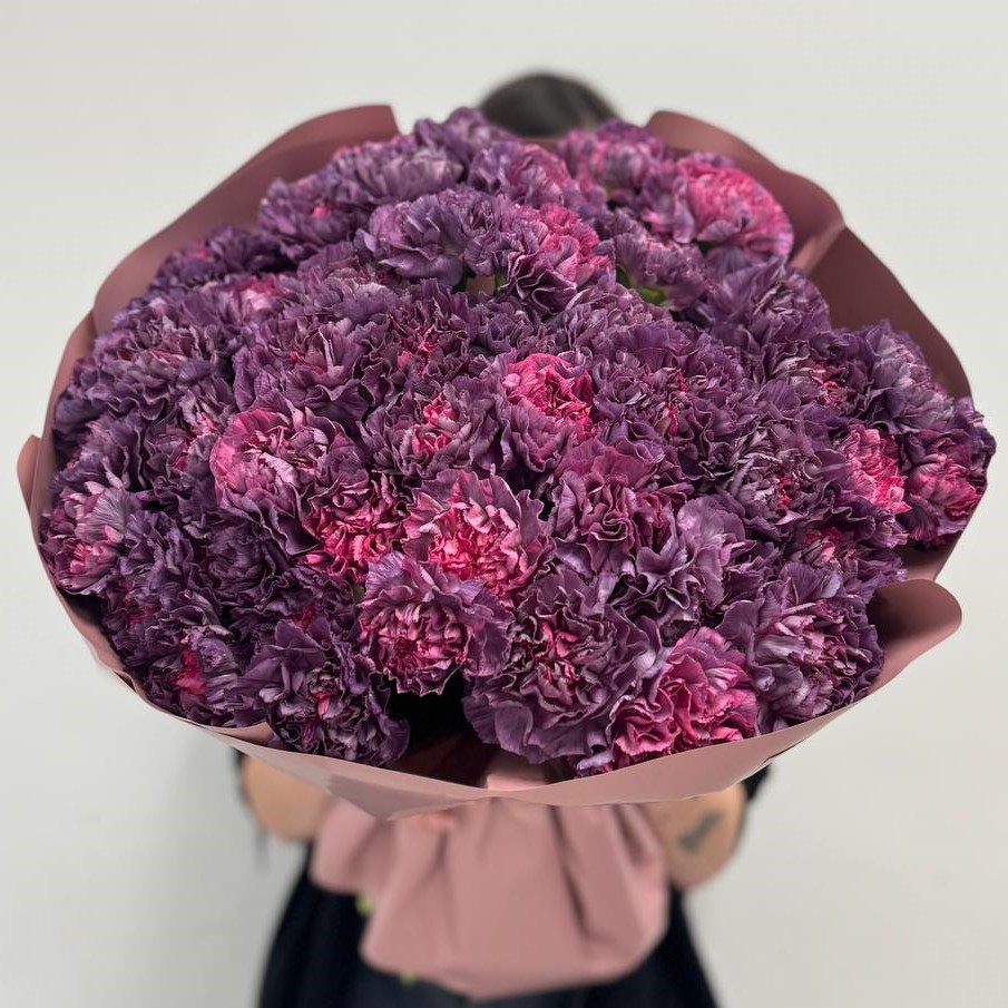 51 космический диантус