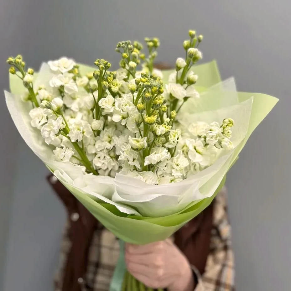 Букет "15 белых маттиол"