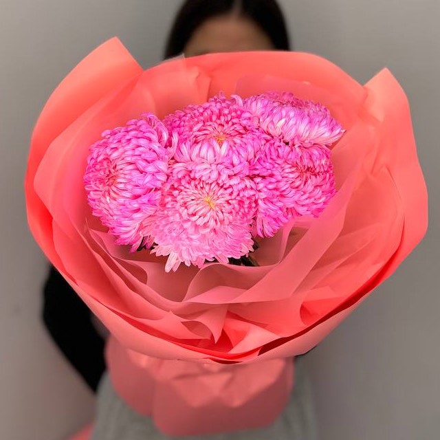 5 хризантем премиум цвета фуксия