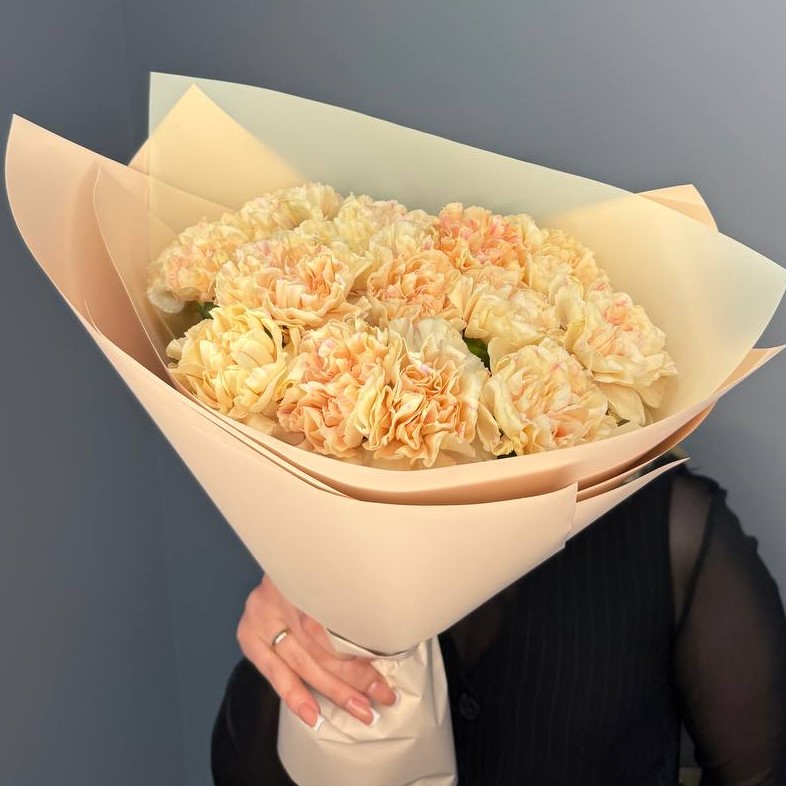 15 кремовых диантусов